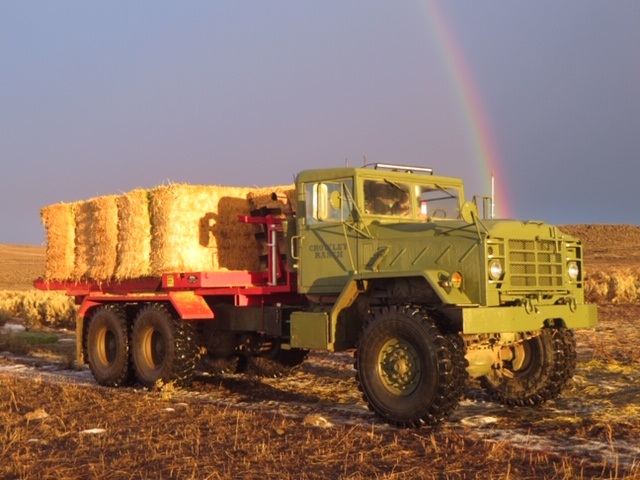 Army Truck Feeder