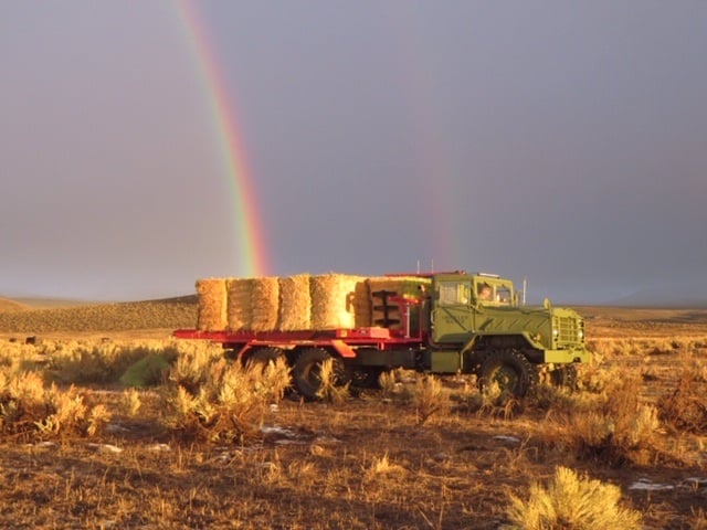 Army Truck Feeder