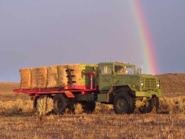 Army Truck Feeder